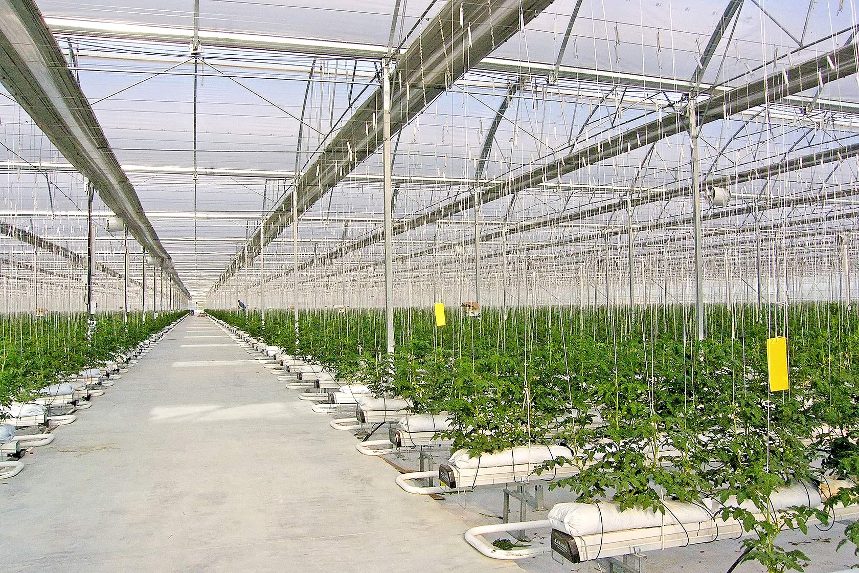 Anahtar Teslim Sera Sistemleri