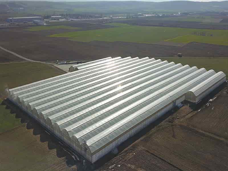 Ceo Tarım A.Ş Afyon