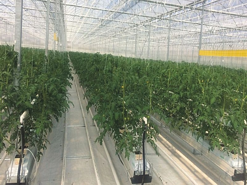 Big Store Azerbeycan