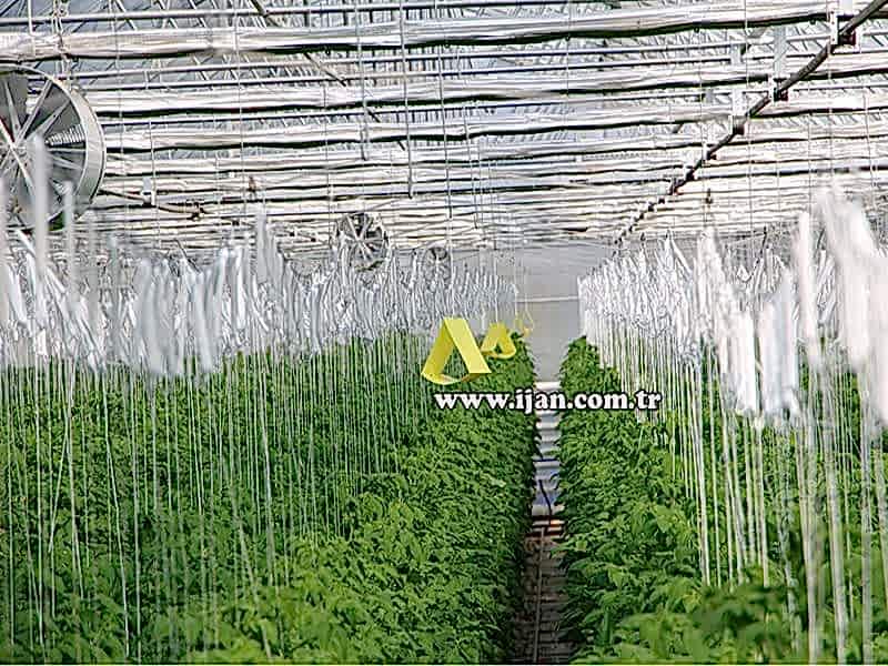 BİTKİ ASKI TEL SİSTEMİ